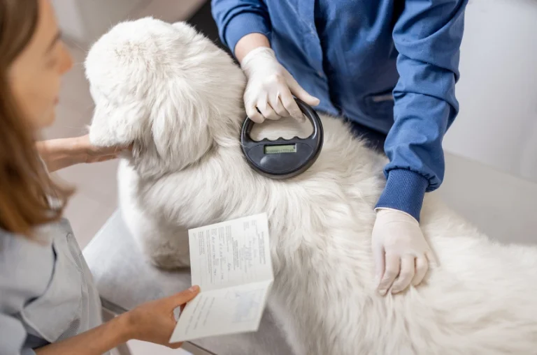 microchip your pet